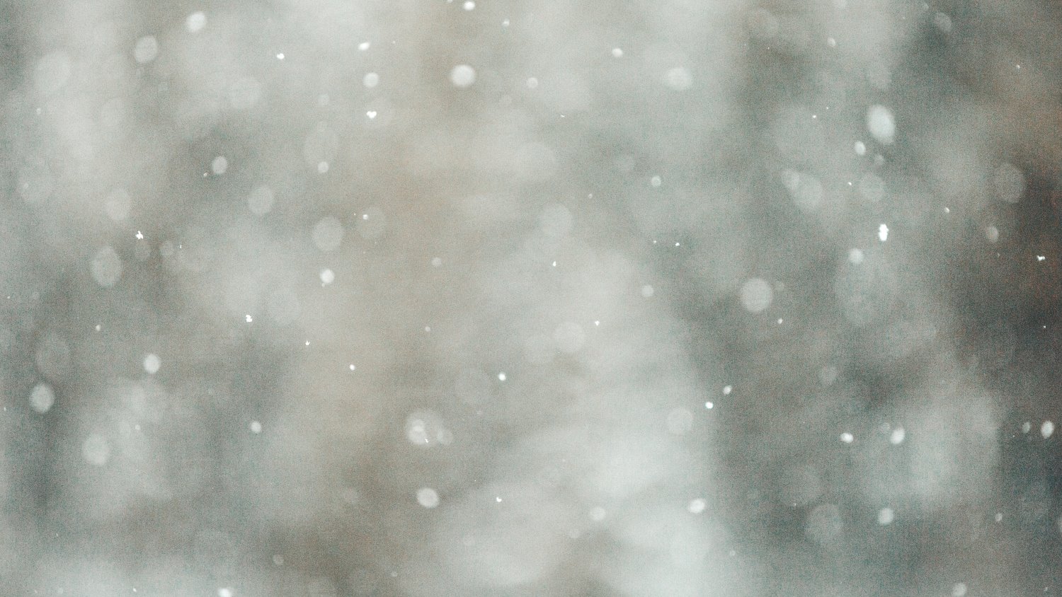 Cold-weather photography