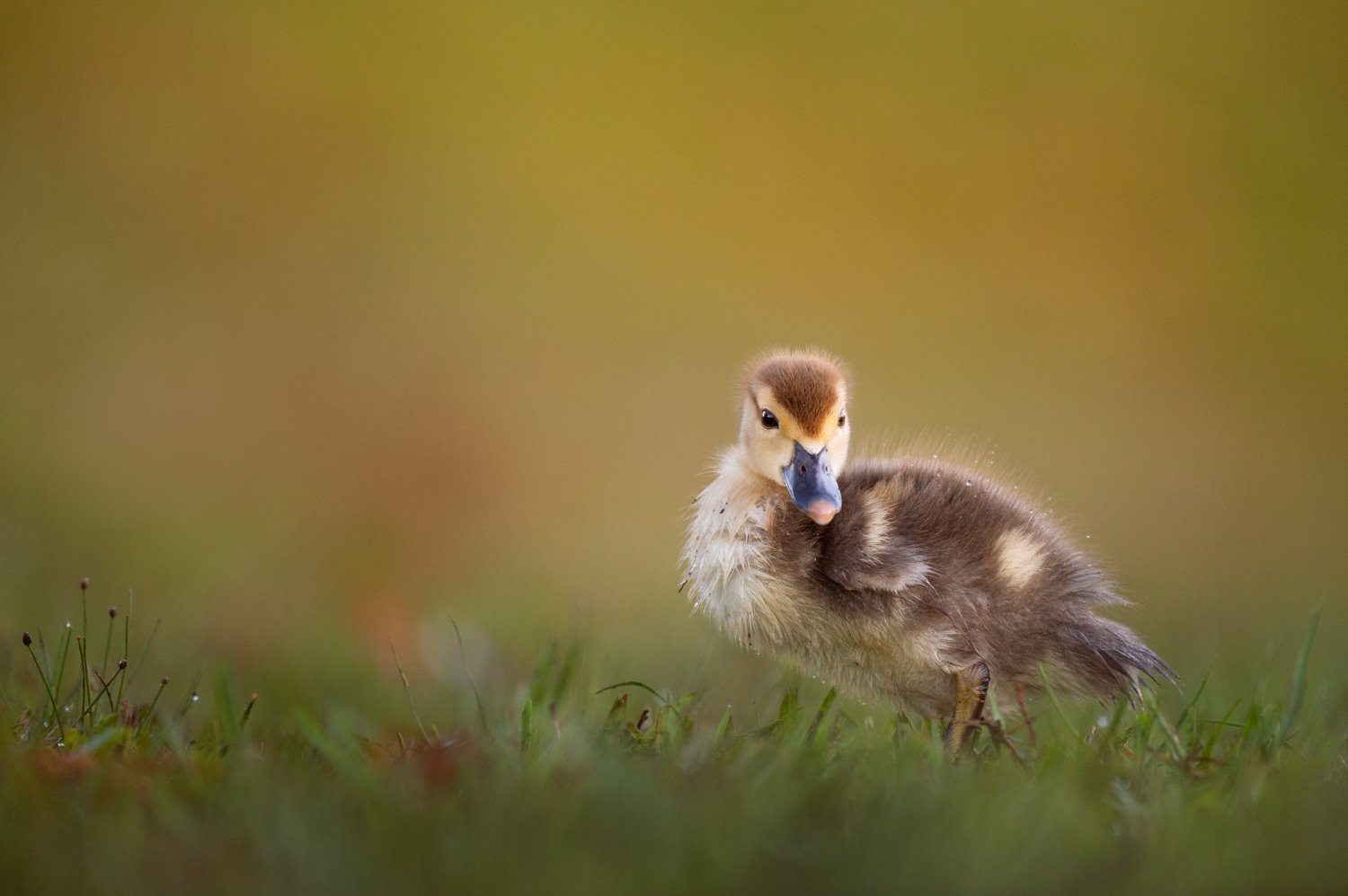 Ways to find photography inspiration