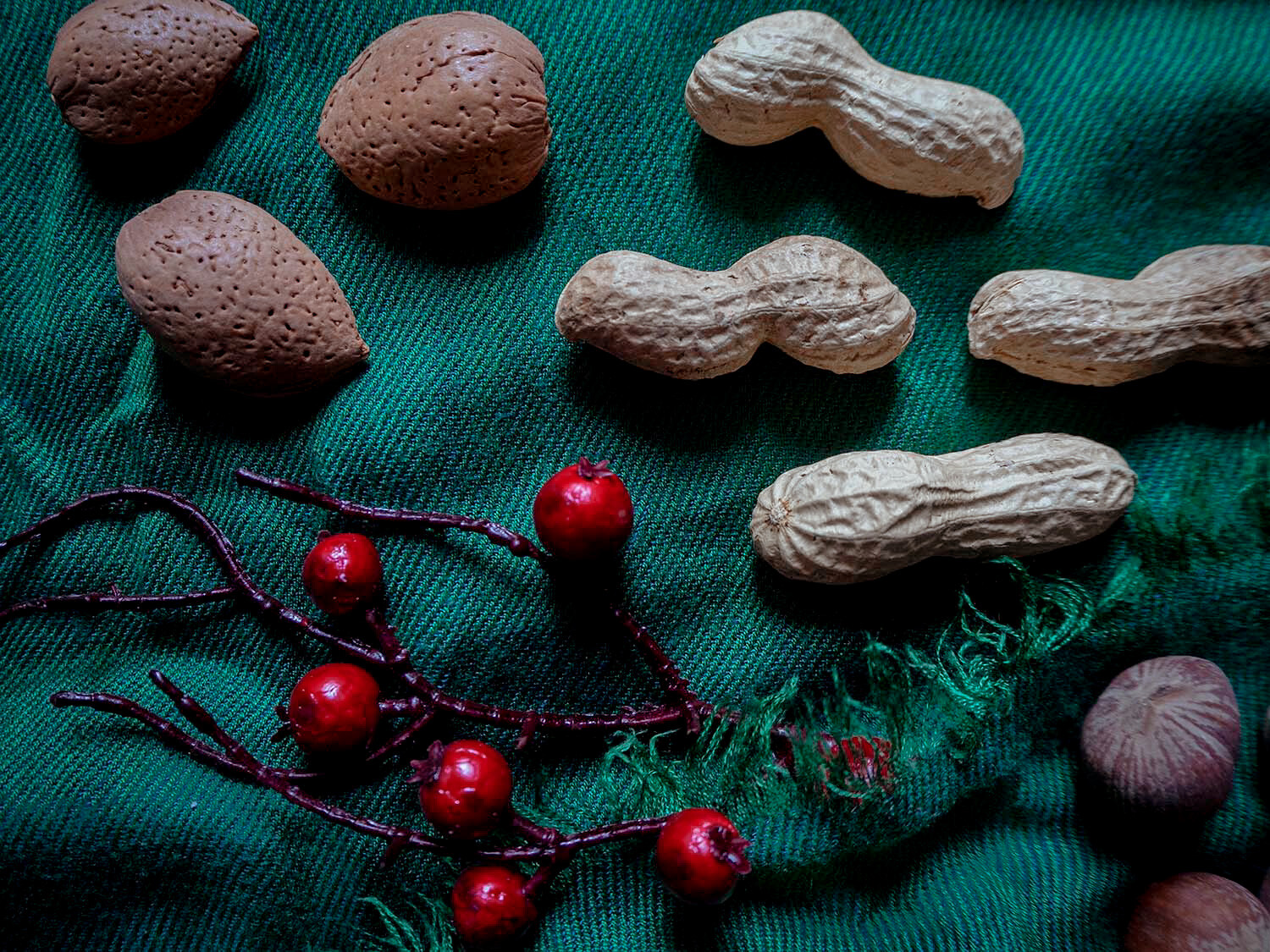 flat lay with peanuts and berries