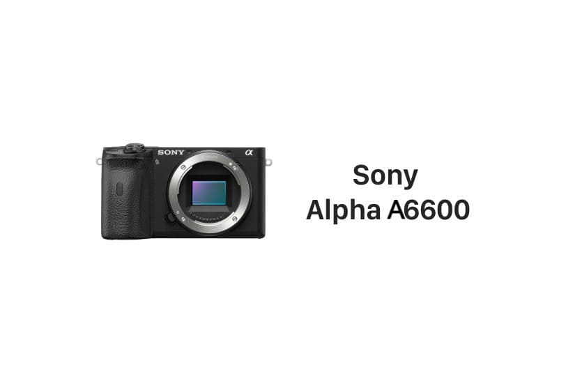 Sony Alpha A6600